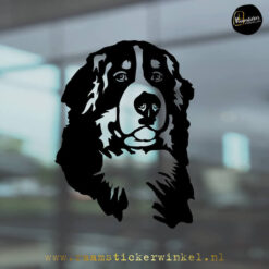Raamsticker Berner sennen Amber RSW
