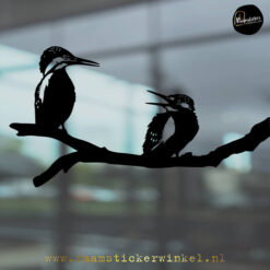 Raamsticker IJsvogels zwart RSW