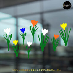 Raamsticker Krokus Krokussen crocus RSW
