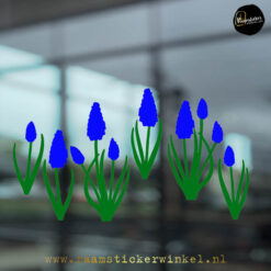 Raamsticker blauwe druif RSW