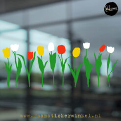 Raamsticker tulp tulpen RSW