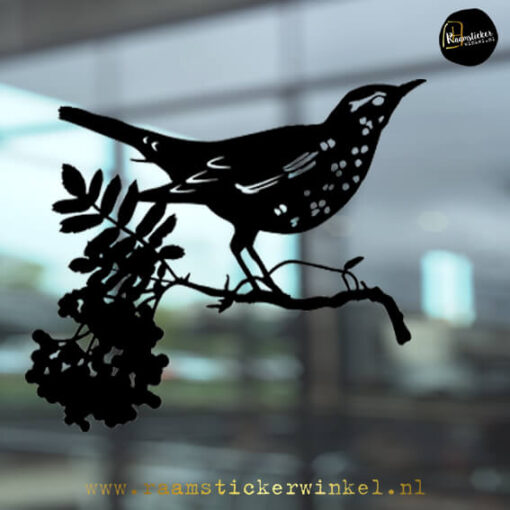 Raamsticker Zanglijster zwart sticker herbruikbaar vinyl copyright ®raamstickerwinkel