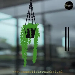 Raamsticker Erwtenplant Senecio rowleyanus herbruikbaar vinyl statisch DOUC copyright ®raamstickerwinkel