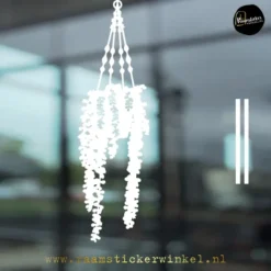 Raamsticker Erwtenplant Senecio rowleyanus herbruikbaar vinyl statisch wit copyright ®raamstickerwinkel