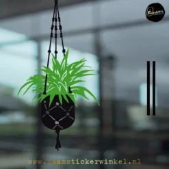 Raamsticker Graslelie Chlorophytum comosum herbruikbaar vinyl statisch DUO c copyright ®raamstickerwinkel
