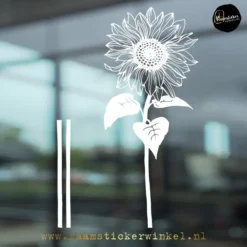 Raamsticker Zonnebloem 1 wit RSW
