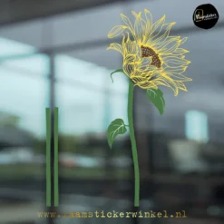 Raamsticker Zonnebloem 2 full color RSW