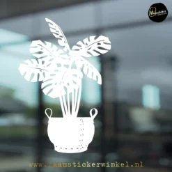 Monstera in rubber mand wit raamsticker copyright ®raamstickerwinkel