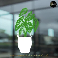 Raamsticker Olifantsoor Alocasia rubber pot Groen wit RSW copyright ®raamstickerwinkel