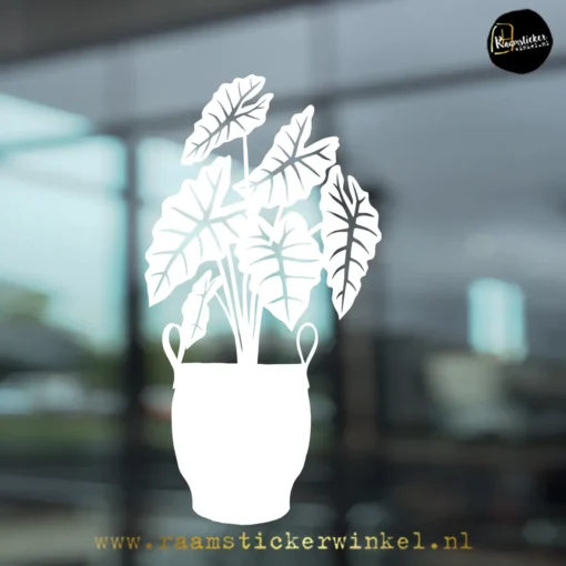Raamsticker Olifantsoor Alocasia rubber pot wit RSW copyright ®raamstickerwinkel