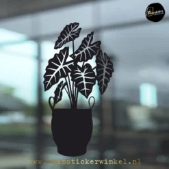 Raamsticker Olifantsoor Alocasia rubber pot zwart RSW copyright ®raamstickerwinkel